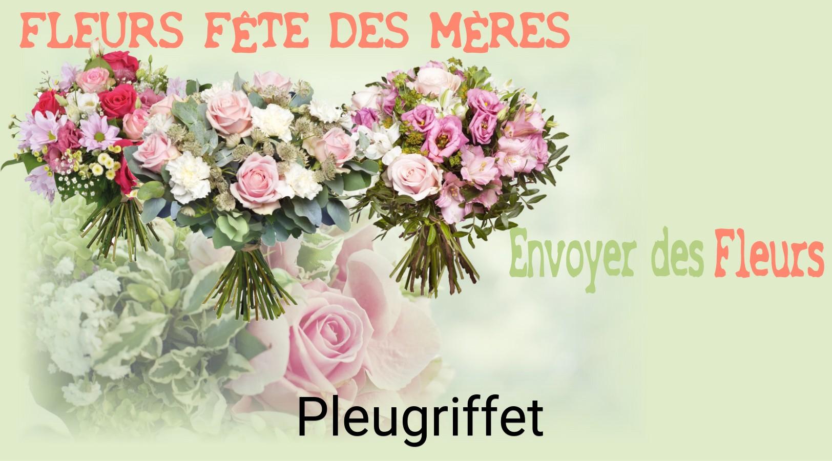 Bouquet de Fête des Mères livré à Pleugriffet